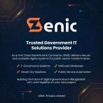 Government IT Solutions Provider