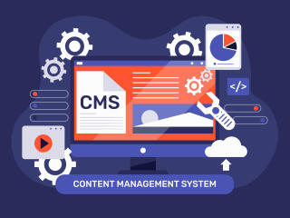CMS Development